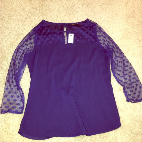 NWT - Express Navy Top w/ Sheer Polka Dot