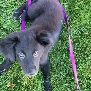 Meet your Posher, Cassie