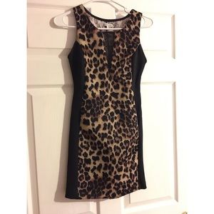 Cheetah Print Cocktail Dress