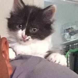 Meet your Posher, Kendall