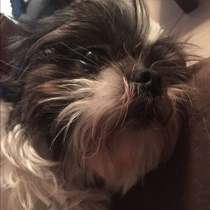 Meet your Posher, Jose