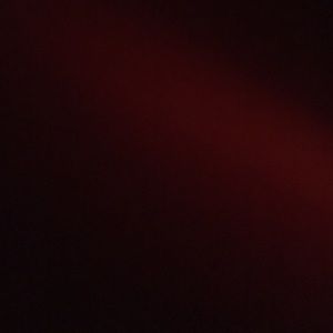 Meet your Posher, Lee