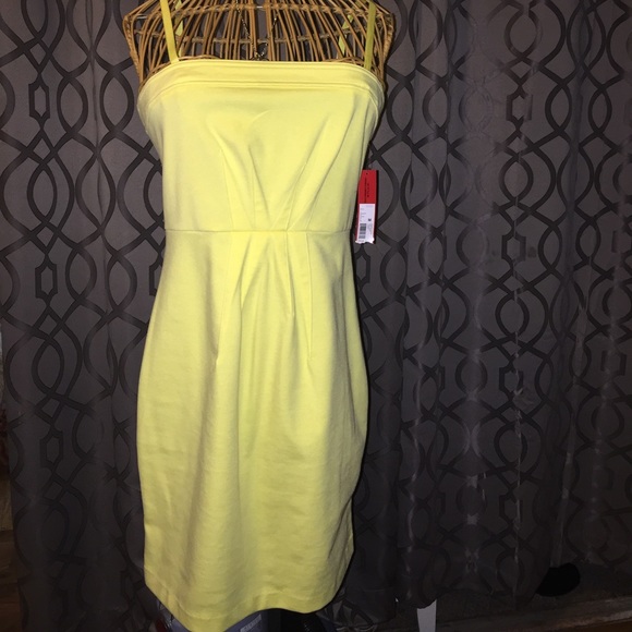 UK Style by French Connection dress.