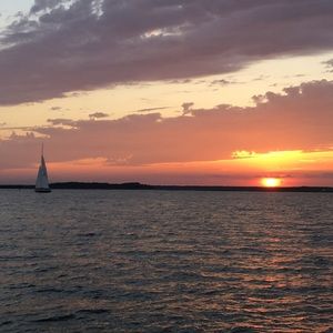 Meet your Posher, Tim