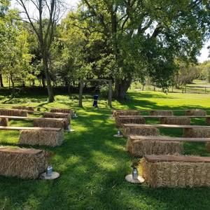 Meet your Posher, Kathy snider-