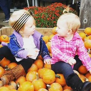 Meet your Posher, Laurie