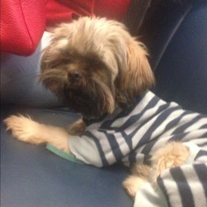 Meet your Posher, Amber