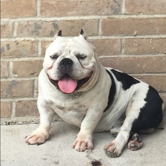 Meet your Posher, Robert - Picture 1 of 1