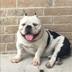 Meet your Posher, Robert