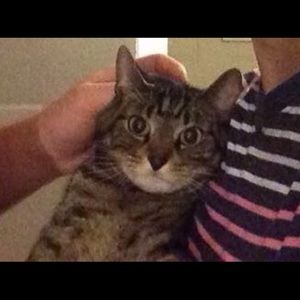 Meet your Posher, Abby