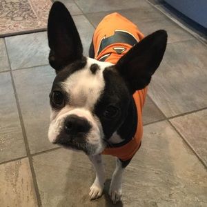 Meet your Posher, Ellyssa