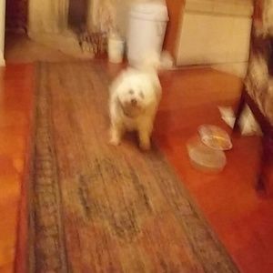 Meet your Posher, Susan