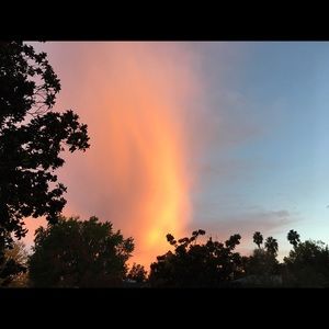 Meet your Posher, Cole