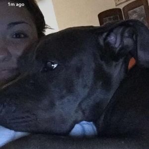 Meet your Posher, Brianna