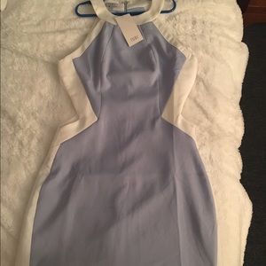 Bodycon dress (Tobi)