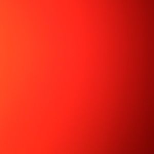 Meet your Posher, Tanner