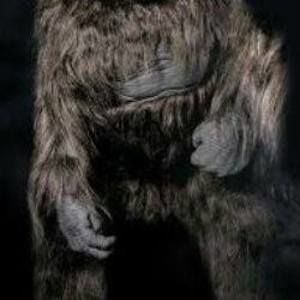 Meet your Posher, Noah