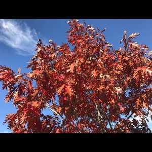 Meet your Posher, Fati