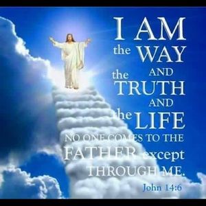 Meet your Posher, Tony