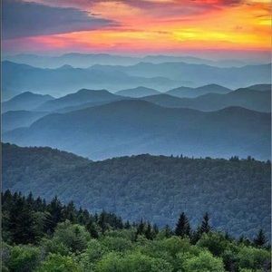 Meet your Posher, Cameron