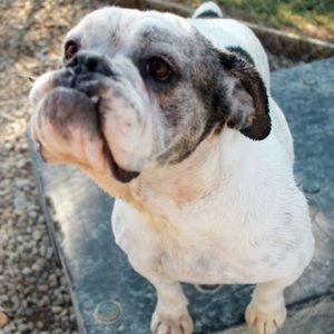 Meet your Posher, Cadie