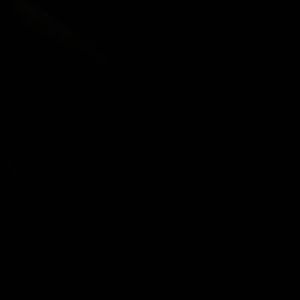 Meet your Posher, Bella