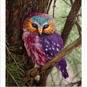 Meet your Posher, Brionne