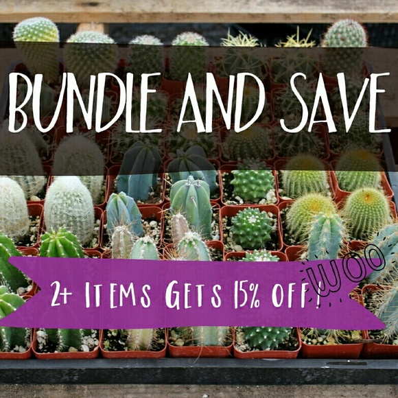 BUNDLE Update to my Closet