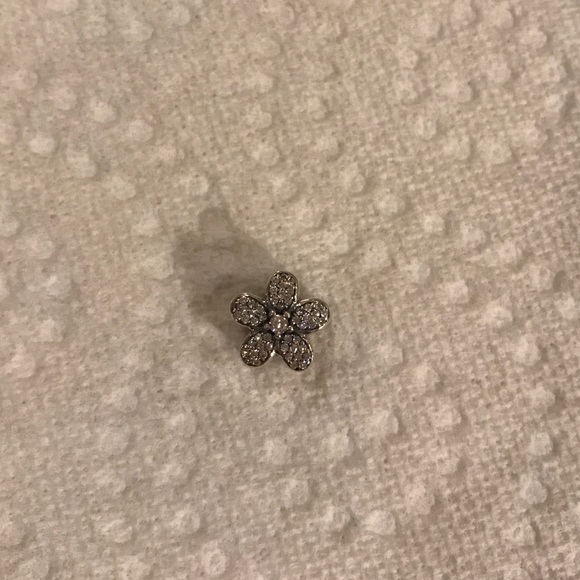 Authentic Pandora charm