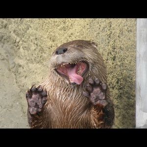 Meet your Posher, Kim