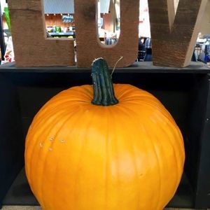 Meet your Posher, Virginia