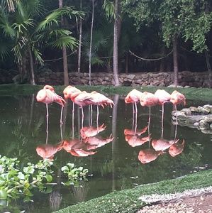 Meet your Posher, Bailey