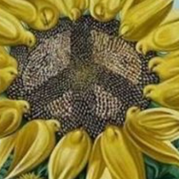 Meet your Posher, Yvette - Picture 1 of 1