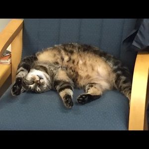 Meet your Posher, Christina