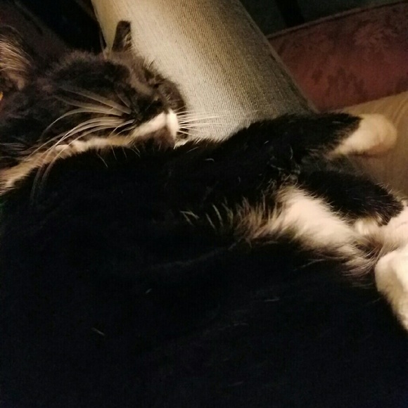 Unavailable atm bbs!💋jo - Picture 3 of 8