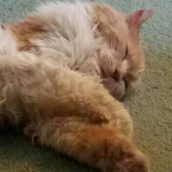 Unavailable atm bbs!💋jo - Picture 4 of 8