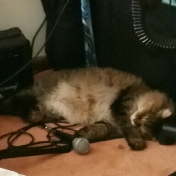 Unavailable atm bbs!💋jo - Picture 5 of 8