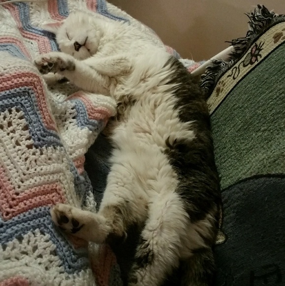 Unavailable atm bbs!💋jo - Picture 7 of 8