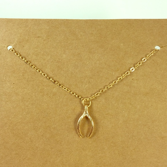 Brand new Wishbone necklace - Picture 1 of 1