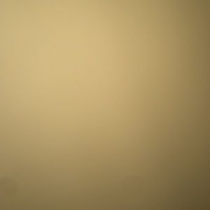 Meet your Posher, Shana