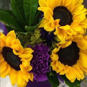 Meet your Posher, Kari