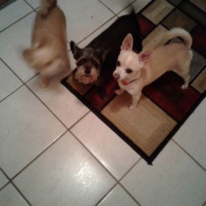 Meet your Posher, Debra