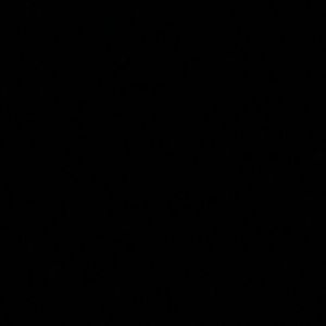 Meet your Posher, Max