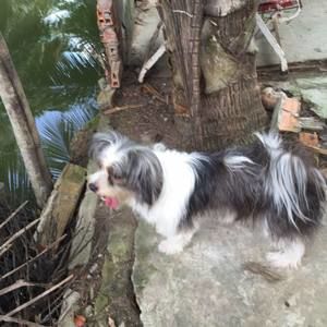 Meet your Posher, Cuong