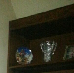 Meet your Posher, Donna