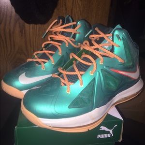 Lebron x 10 Miami dolphins