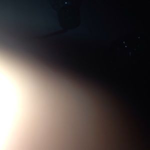 Meet your Posher, Pam