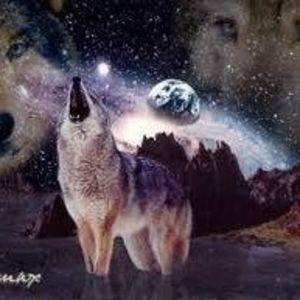 Meet your Posher, Ángel