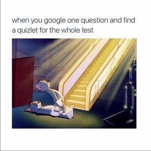 Meet your Posher, Coleen