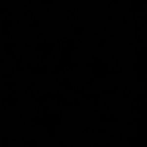 Meet your Posher, Tyson